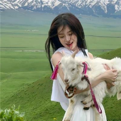 齐姆与友